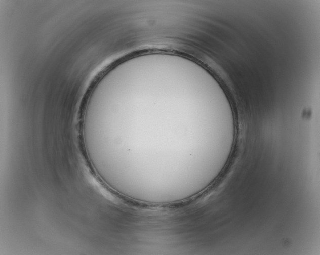 X0000113101037200908280947