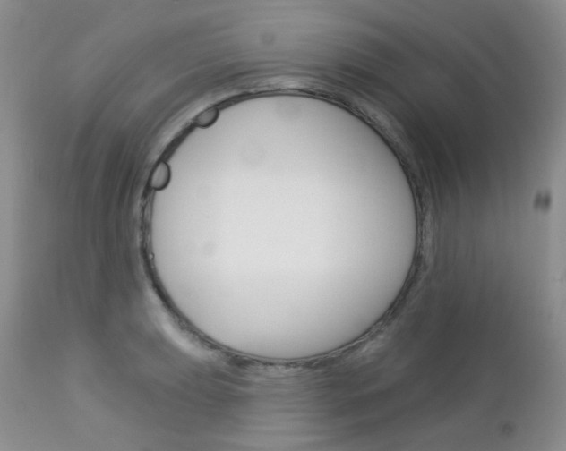 X0000113101039200908280947