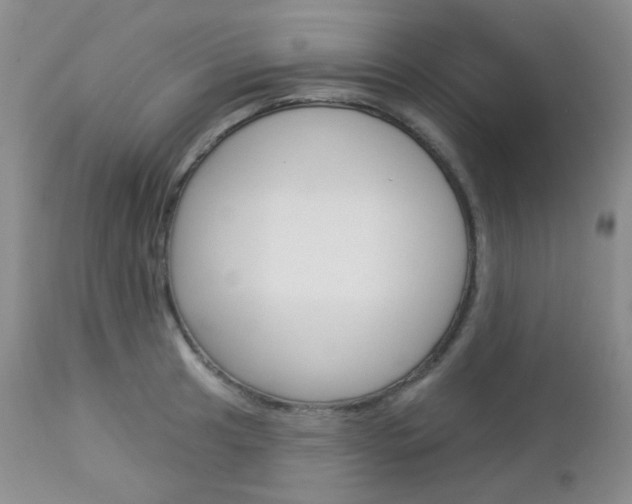 X0000113101041200908280947