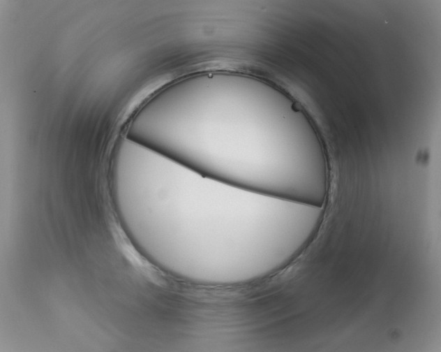 X0000113101042200908280947