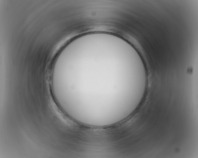 X0000113101043200908280947