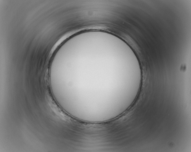 X0000113101044200908280947