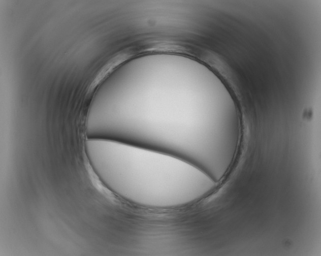 X0000113101049200908280947