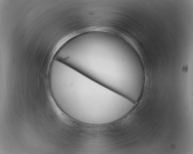 X0000113101050200908280947