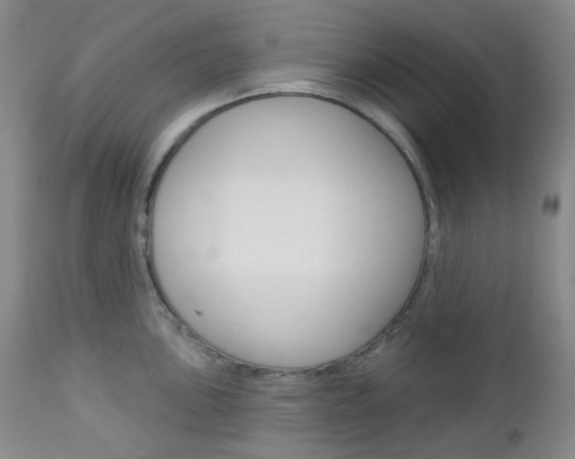X0000113101051200908280947
