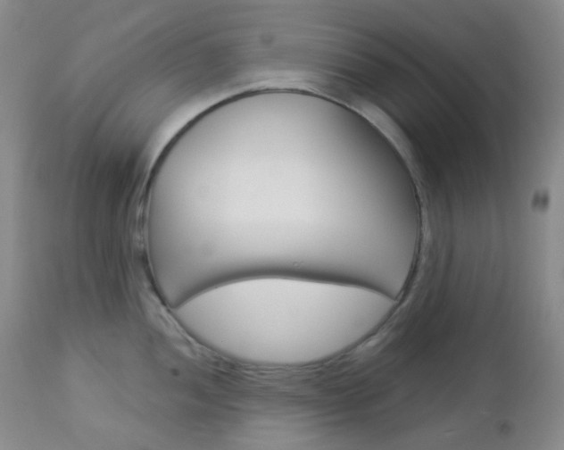 X0000113101052200908280947