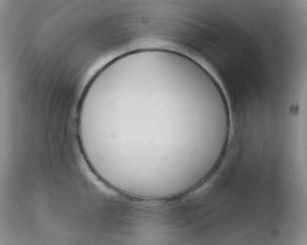 X0000113101053200908280947