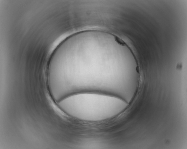 X0000113101054200908280947