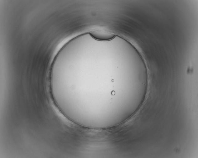 X0000113101056200908280947