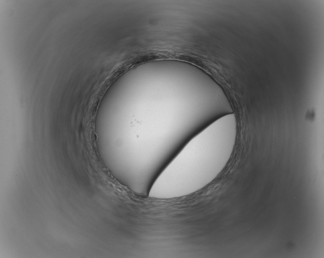 X0000113101057200908280946