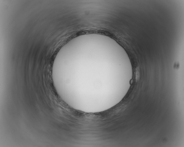X0000113101059200908280946