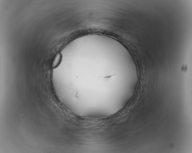 X0000113101061200908280946