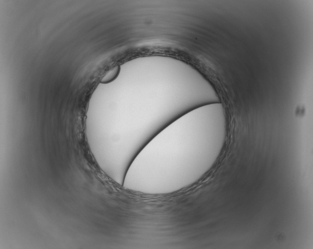 X0000113101062200908280946
