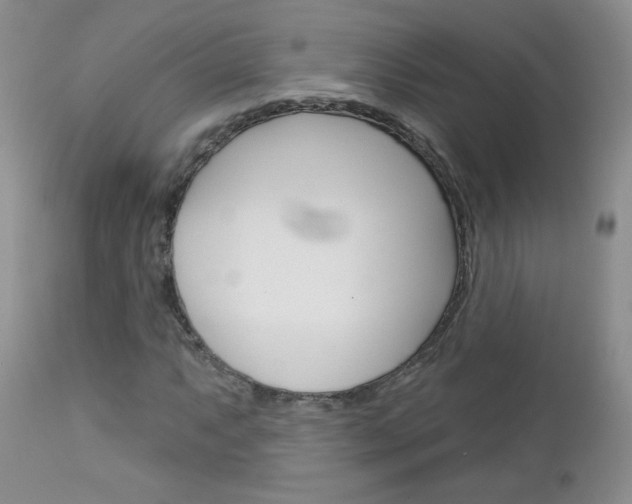 X0000113101063200908280946