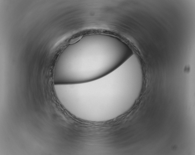 X0000113101064200908280946