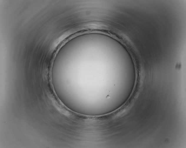 X0000113101065200908280946