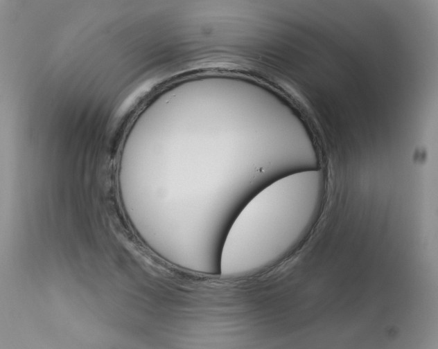 X0000113101067200908280946