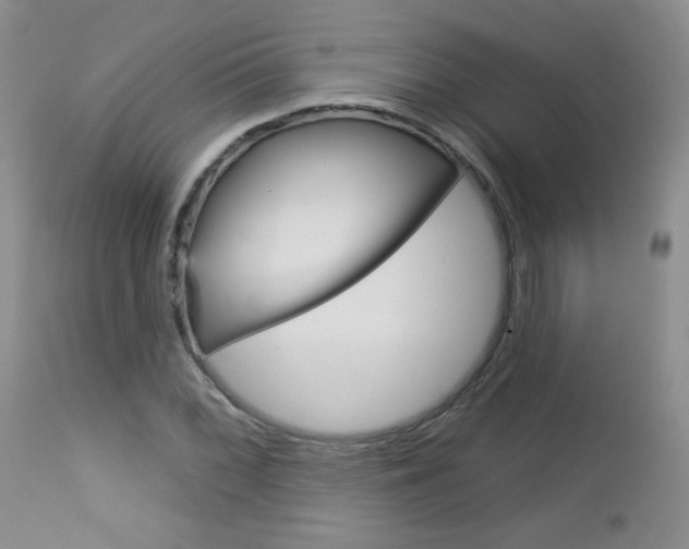 X0000113101068200908280946