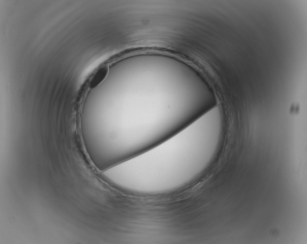 X0000113101069200908280946