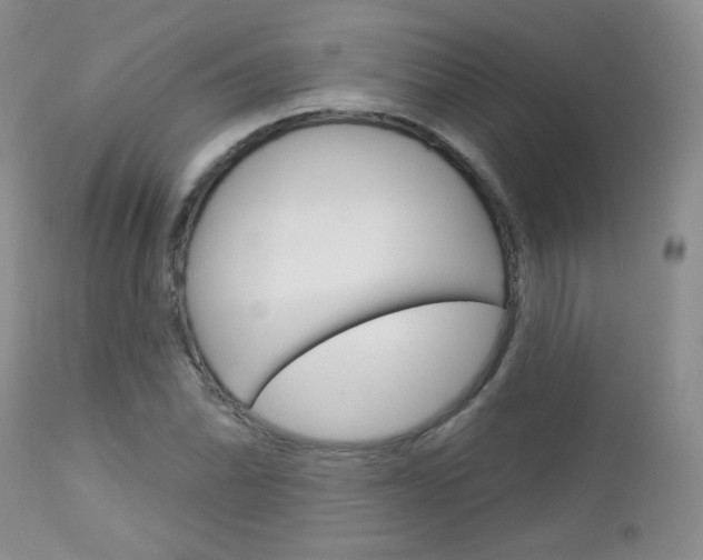 X0000113101070200908280946