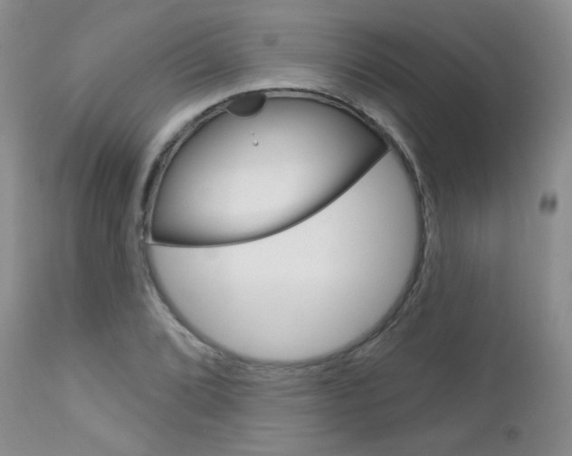 X0000113101072200908280946