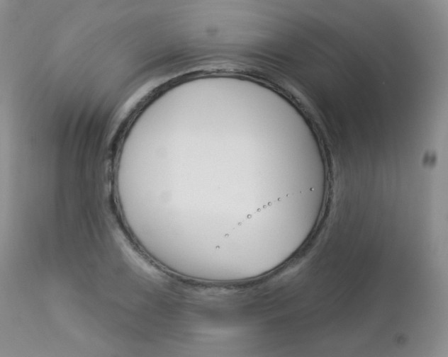 X0000113101075200908280946