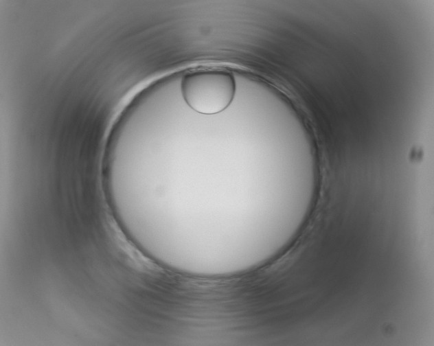 X0000113101076200908280946