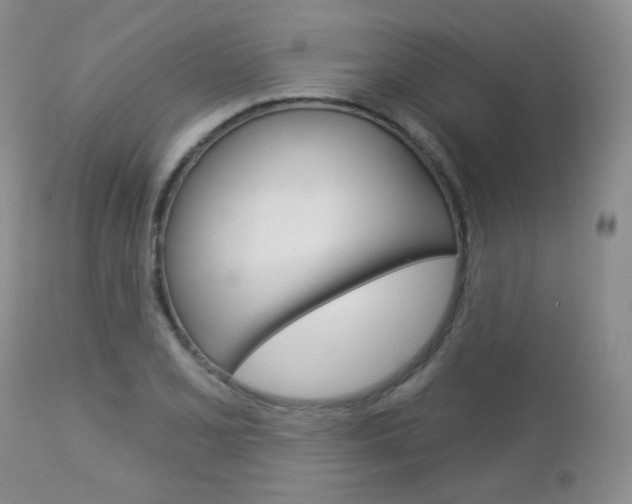 X0000113101077200908280946