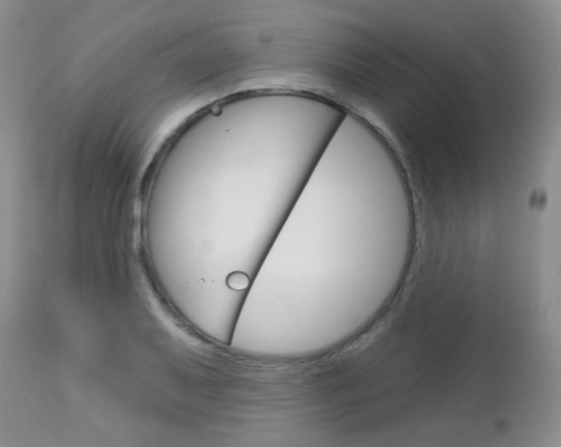 X0000113101079200908280946