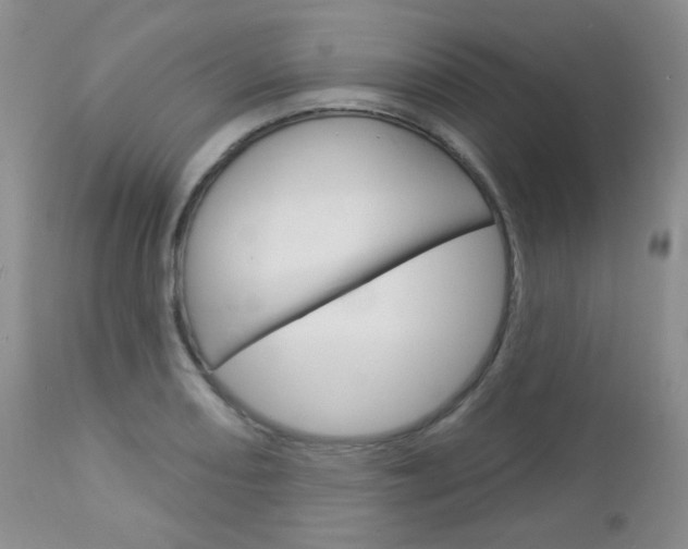 X0000113101082200908280946