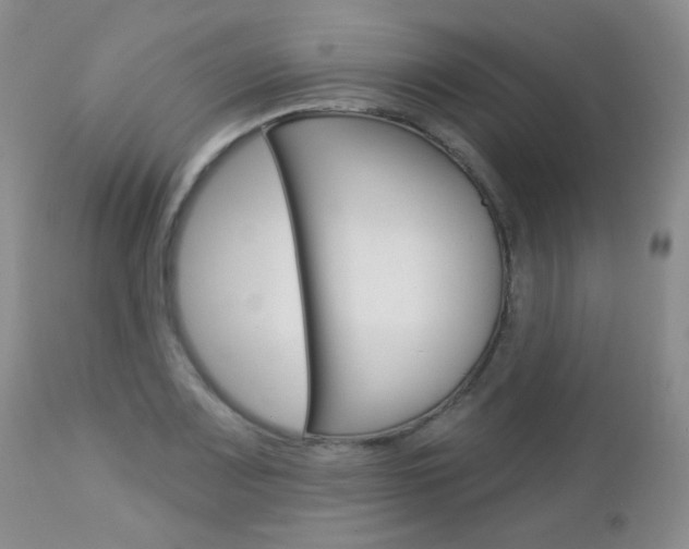 X0000113101083200908280946