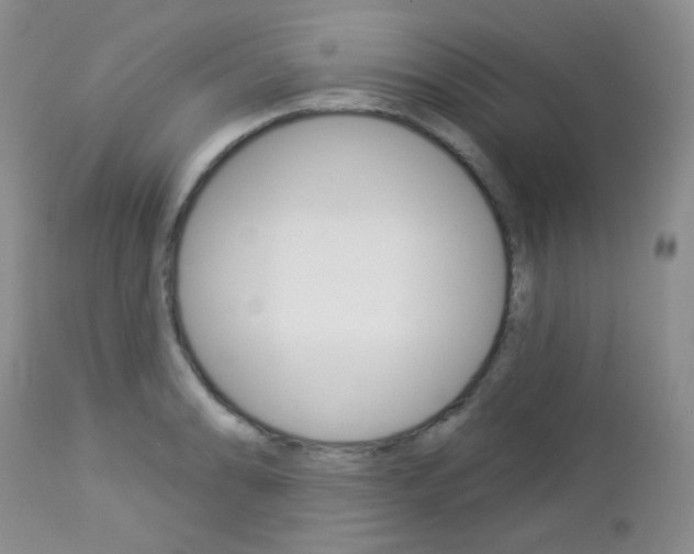 X0000113101086200908280946