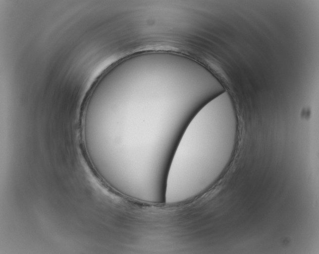 X0000113101087200908280946