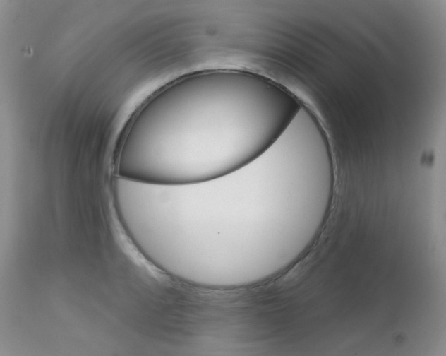 X0000113101088200908280946