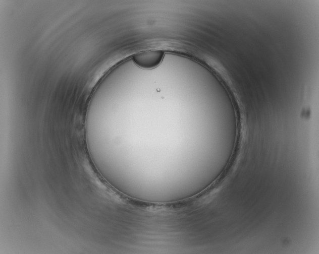 X0000113101089200908280946