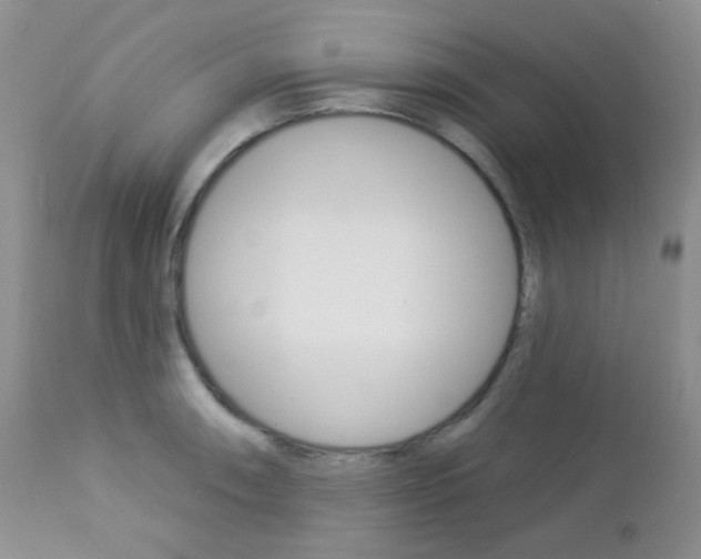 X0000113101090200908280946