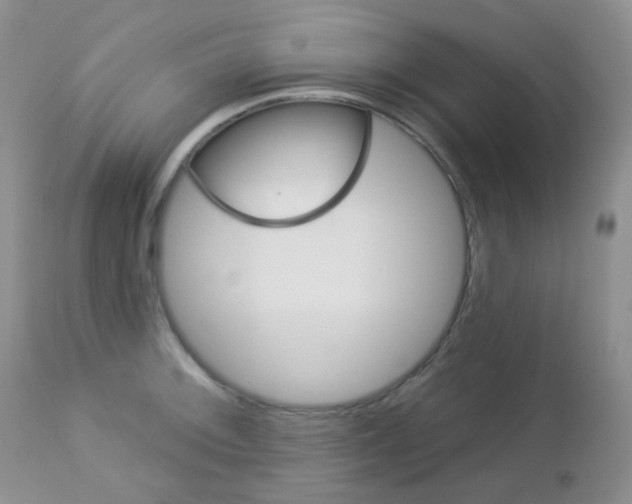 X0000113101092200908280946