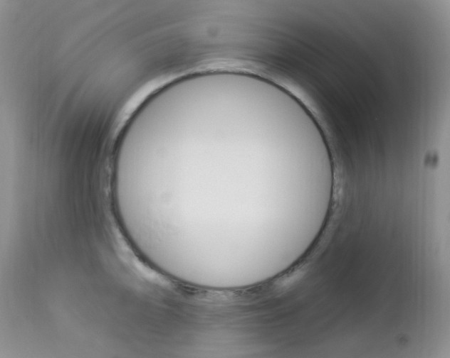 X0000113101094200908280946