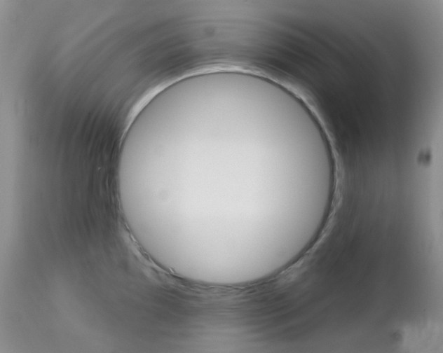 X0000113101097200908280946