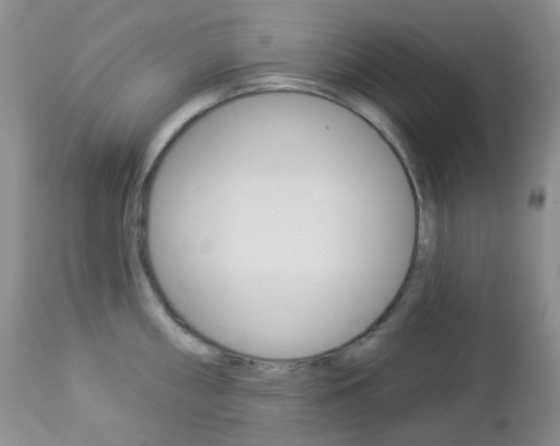 X0000113101098200908280946