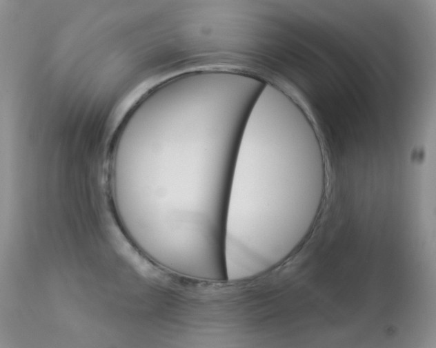 X0000113101099200908280946