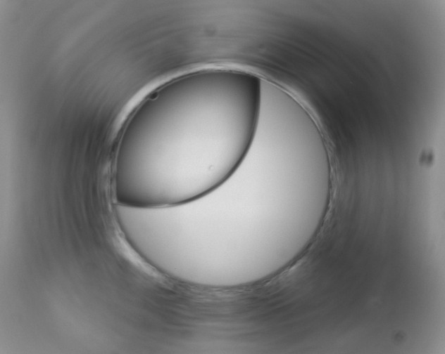 X0000113101100200908280946