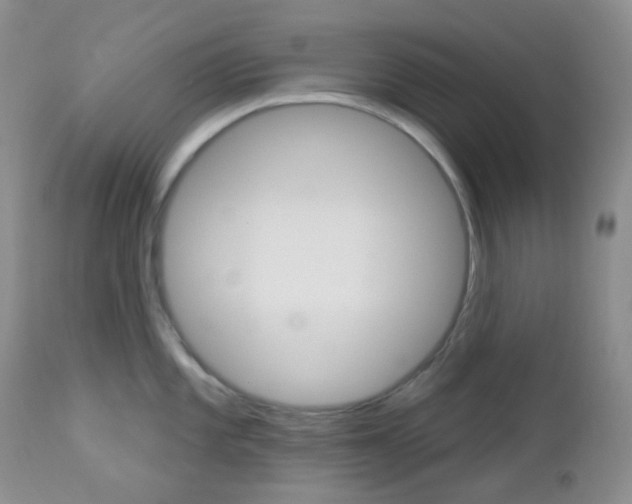 X0000113101101200908280946