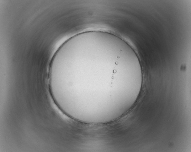 X0000113101103200908280946