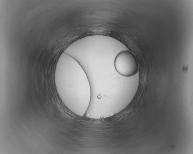 X0000113101106200908280945