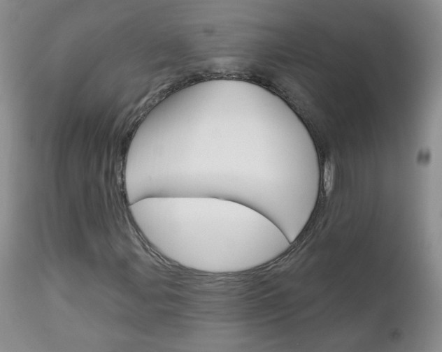 X0000113101107200908280945