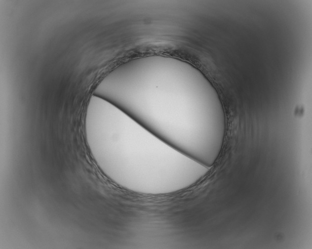 X0000113101109200908280945