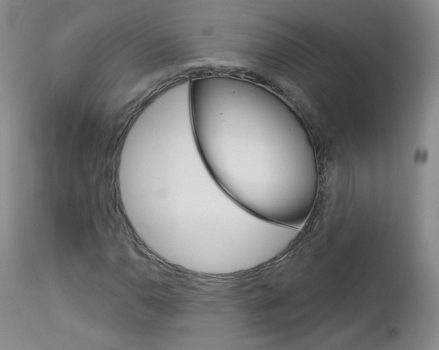 X0000113101110200908280945