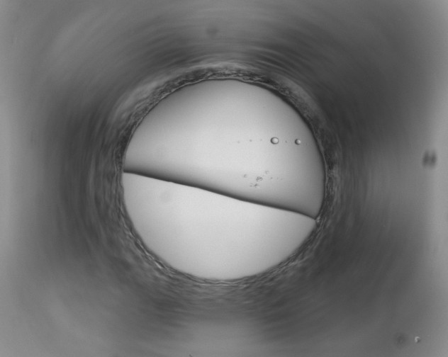 X0000113101111200908280945