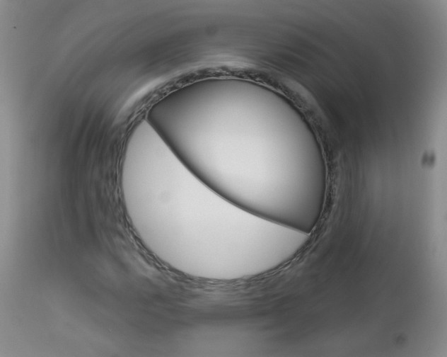 X0000113101112200908280945